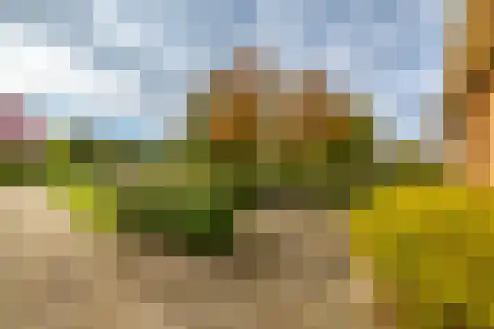 Jonker Egbert Clantsngl 41 Harkstede thumbnail 43