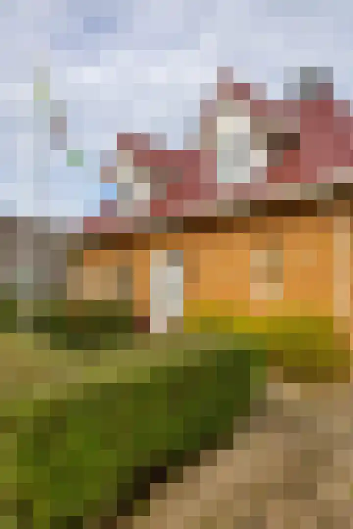 Jonker Egbert Clantsngl 41 Harkstede thumbnail 44