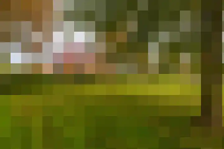 Jonker Egbert Clantsngl 41 Harkstede thumbnail 47