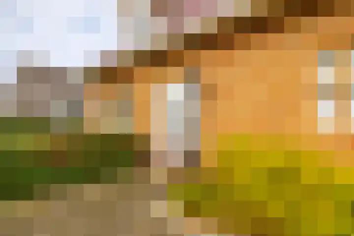 Jonker Egbert Clantsngl 41 Harkstede thumbnail 5
