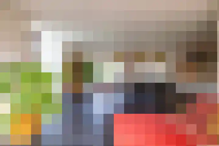 Jonker Egbert Clantsngl 41 Harkstede thumbnail 9