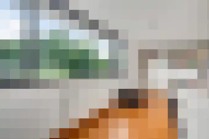 Jonker Ravestraat 15 Maastricht thumbnail 14