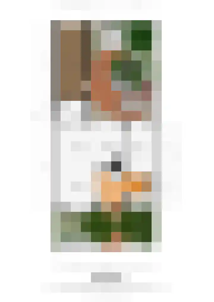 Jonker Ravestraat 15 Maastricht thumbnail 21
