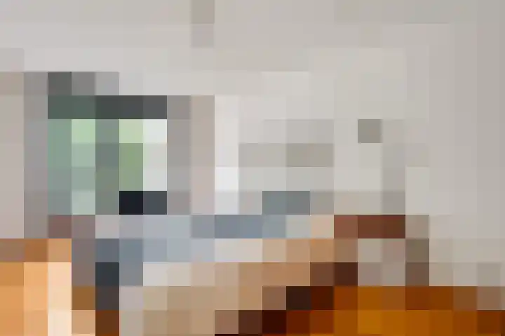 Jonker Ravestraat 15 Maastricht thumbnail 9