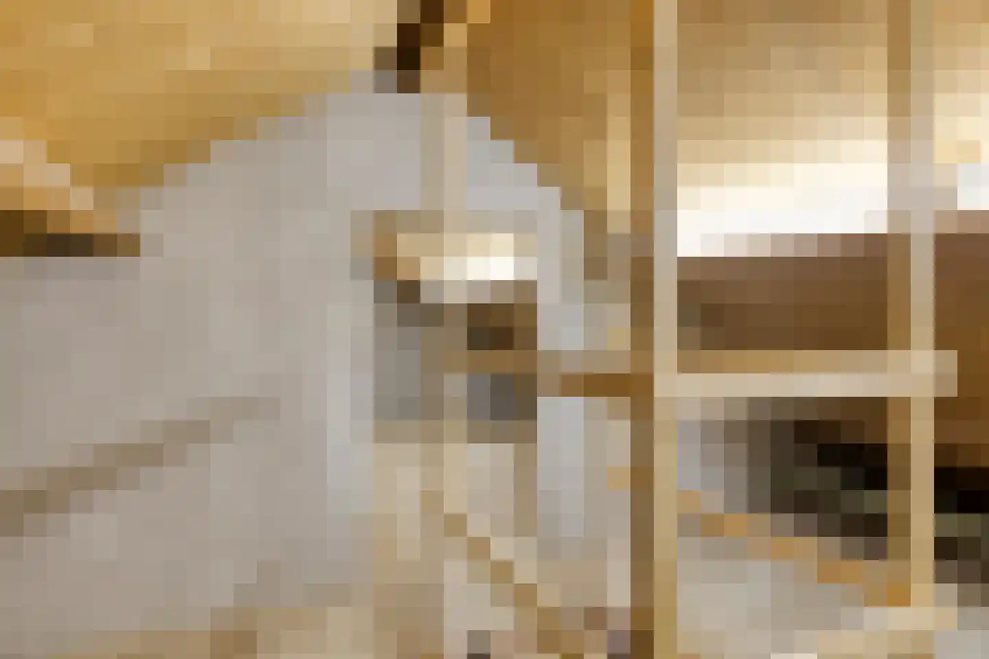 Jonker Speelmanstraat 14 Heeswijk-Dinther thumbnail 41
