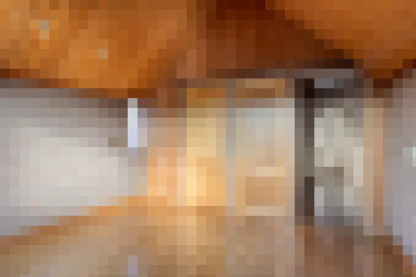 Jonker Speelmanstraat 14 Heeswijk-Dinther thumbnail 7