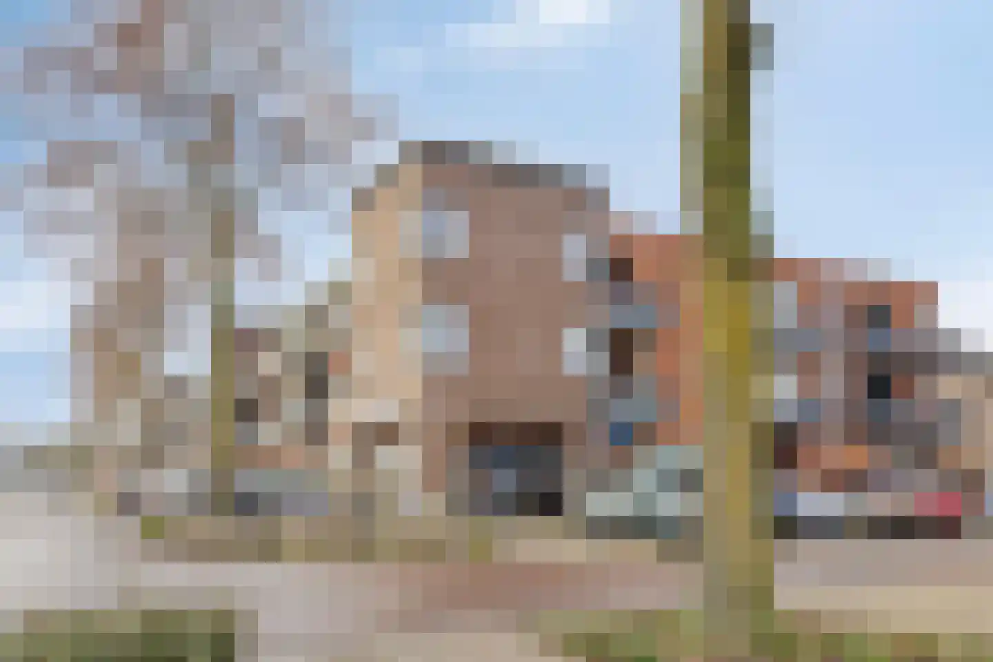 Jonker Speelmanstraat 20 Heeswijk-Dinther thumbnail 31