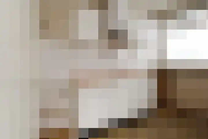 Jonkerbos 103 Zoetermeer thumbnail 15