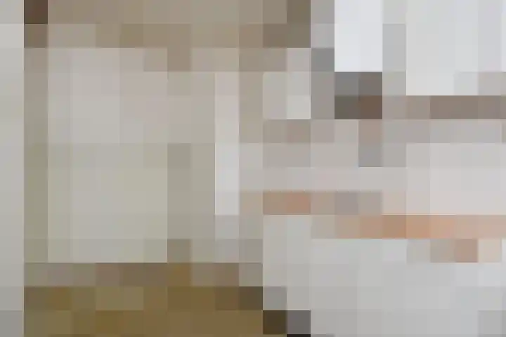 Jonkerbos 103 Zoetermeer thumbnail 17