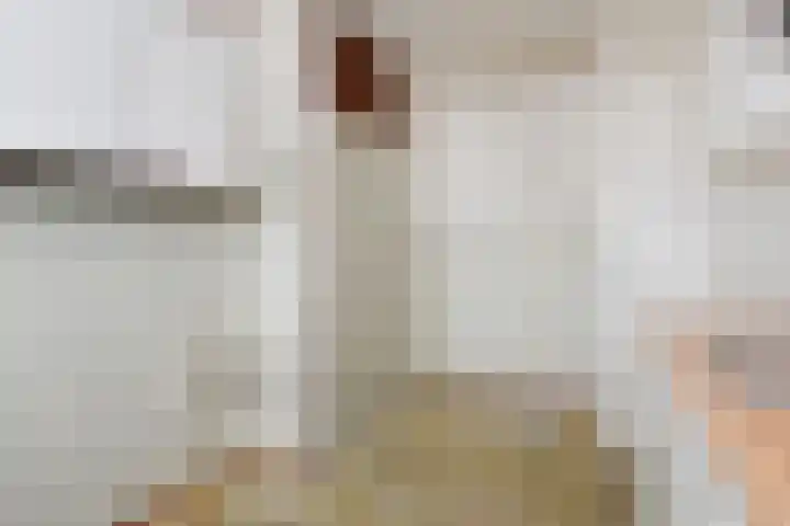 Jonkerbos 103 Zoetermeer thumbnail 18