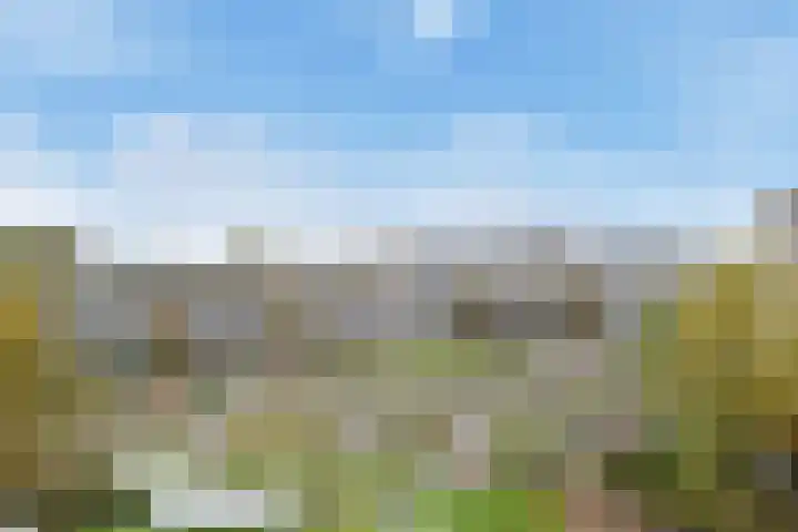 Jonkerbos 103 Zoetermeer thumbnail 30