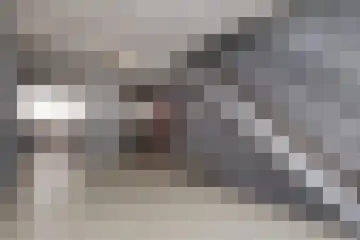 Jonkerbos 103 Zoetermeer thumbnail 7