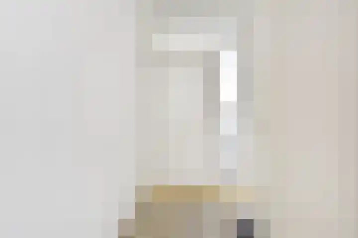 Jonkerbos 103 Zoetermeer thumbnail 8