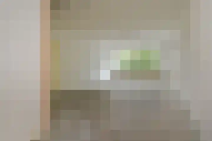 Jonkerbos 126 Zoetermeer thumbnail 11