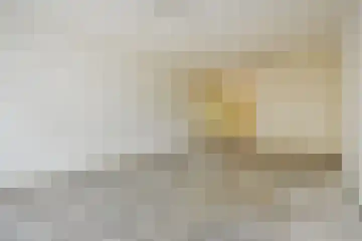Jonkerbos 126 Zoetermeer thumbnail 12