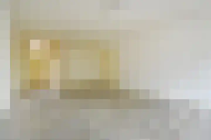 Jonkerbos 126 Zoetermeer thumbnail 13