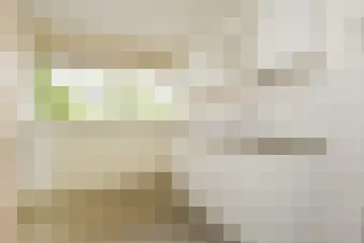 Jonkerbos 126 Zoetermeer thumbnail 14