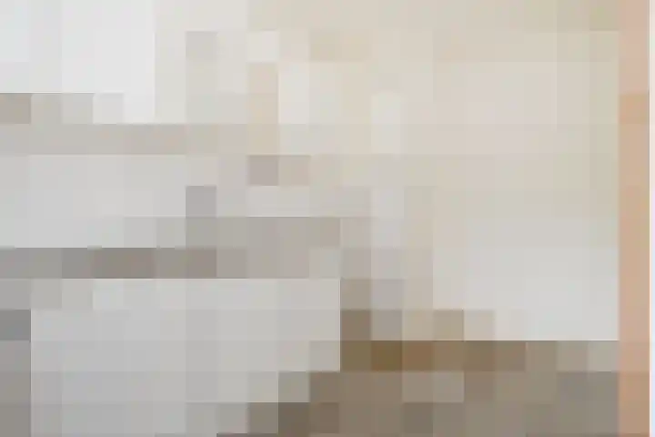 Jonkerbos 126 Zoetermeer thumbnail 16