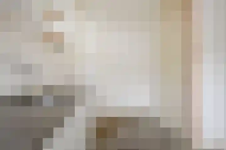 Jonkerbos 126 Zoetermeer thumbnail 17