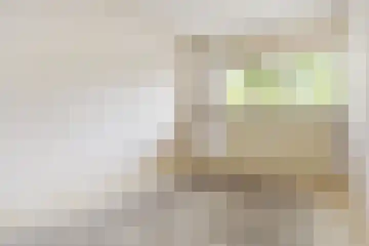Jonkerbos 126 Zoetermeer thumbnail 19