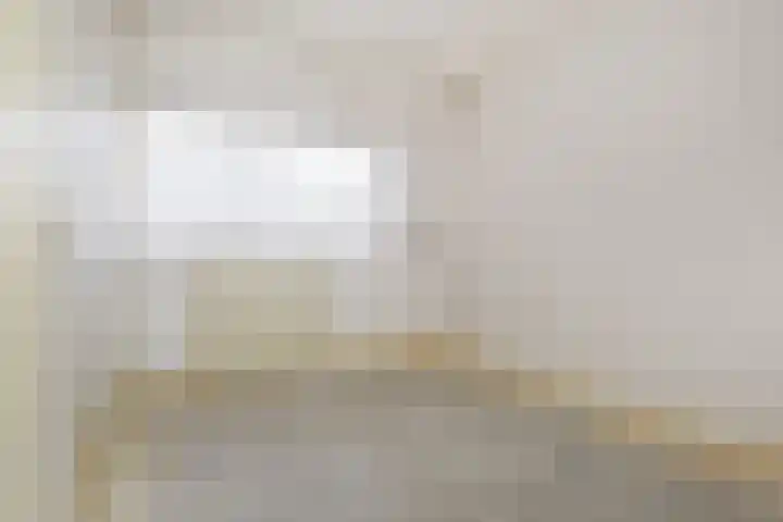 Jonkerbos 126 Zoetermeer thumbnail 22