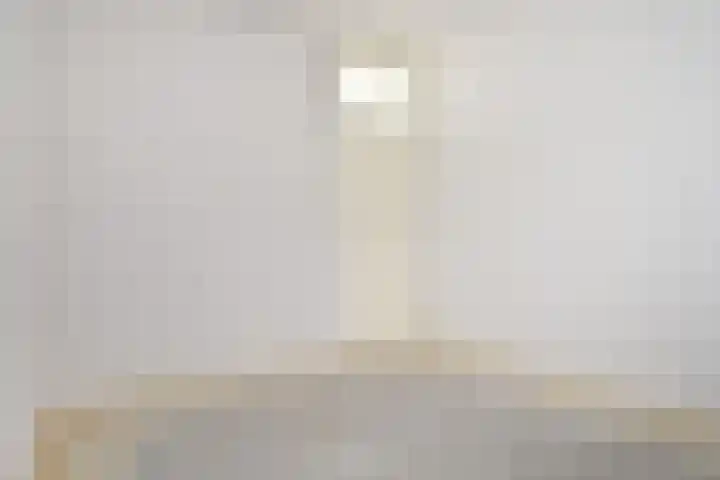 Jonkerbos 126 Zoetermeer thumbnail 23