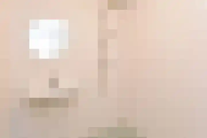 Jonkerbos 126 Zoetermeer thumbnail 26