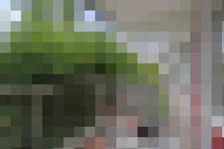 Jonkerbos 126 Zoetermeer thumbnail 29