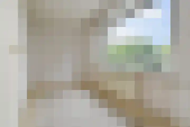 Jonkerbos 126 Zoetermeer thumbnail 32