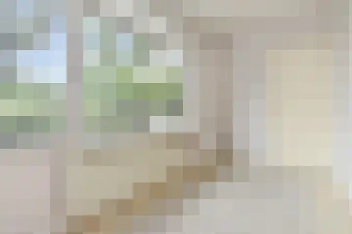 Jonkerbos 126 Zoetermeer thumbnail 33