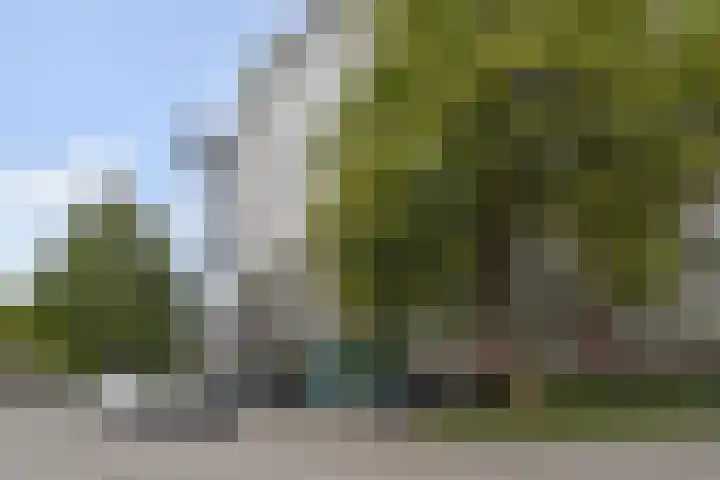 Jonkerbos 126 Zoetermeer thumbnail 5