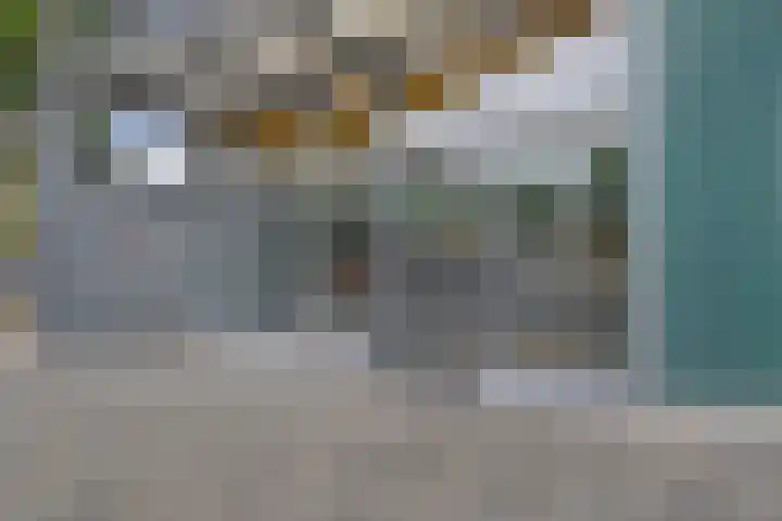 Jonkerbos 126 Zoetermeer thumbnail 6