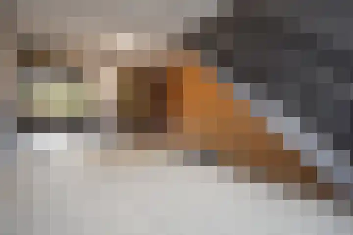 Jonkerbos 126 Zoetermeer thumbnail 8