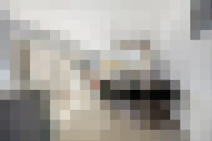 Jonkerbos 139 Zoetermeer thumbnail 10