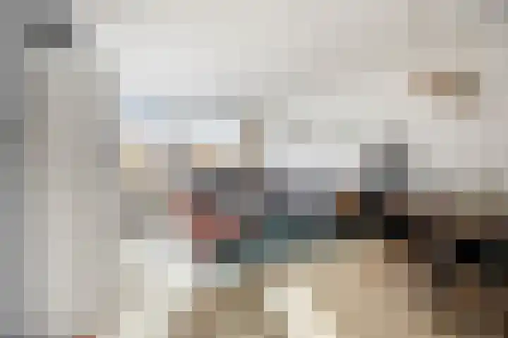 Jonkerbos 139 Zoetermeer thumbnail 12