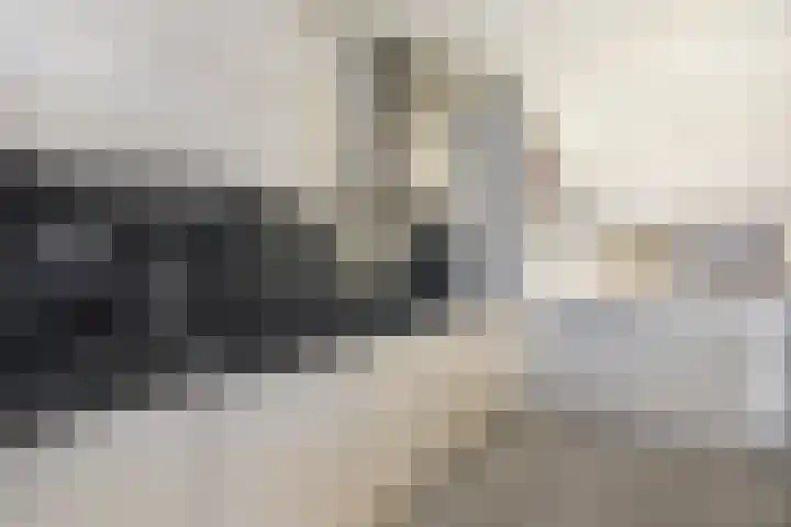 Jonkerbos 139 Zoetermeer thumbnail 14