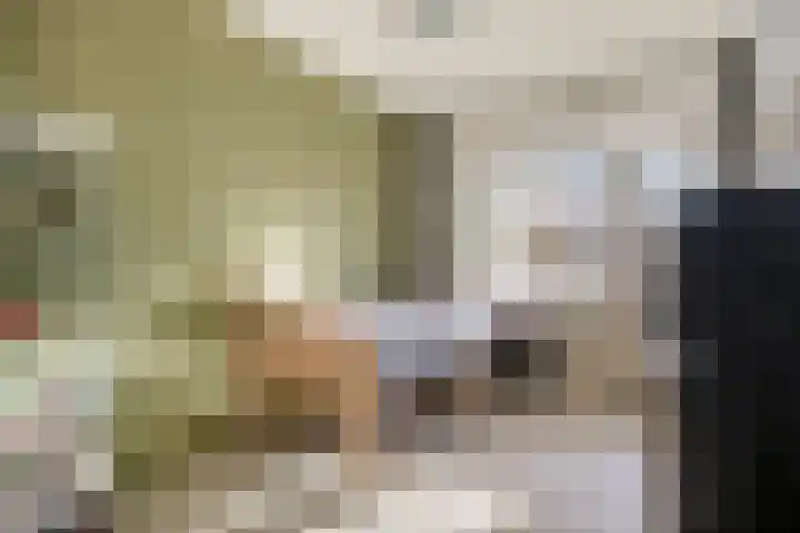 Jonkerbos 139 Zoetermeer thumbnail 23