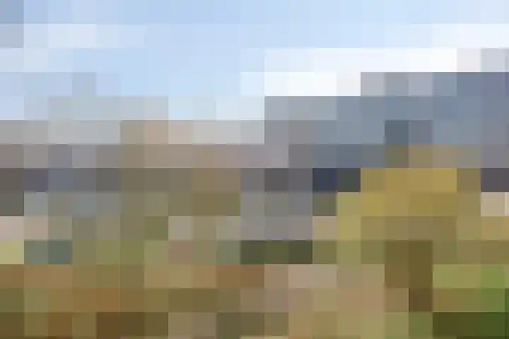 Jonkerbos 139 Zoetermeer thumbnail 25