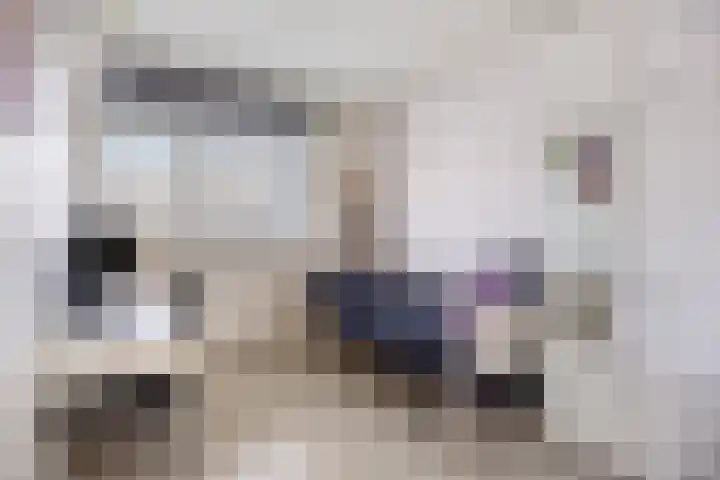Jonkerbos 139 Zoetermeer thumbnail 27