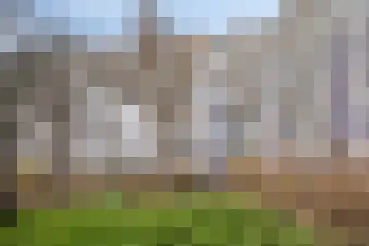 Jonkerbos 139 Zoetermeer thumbnail 29