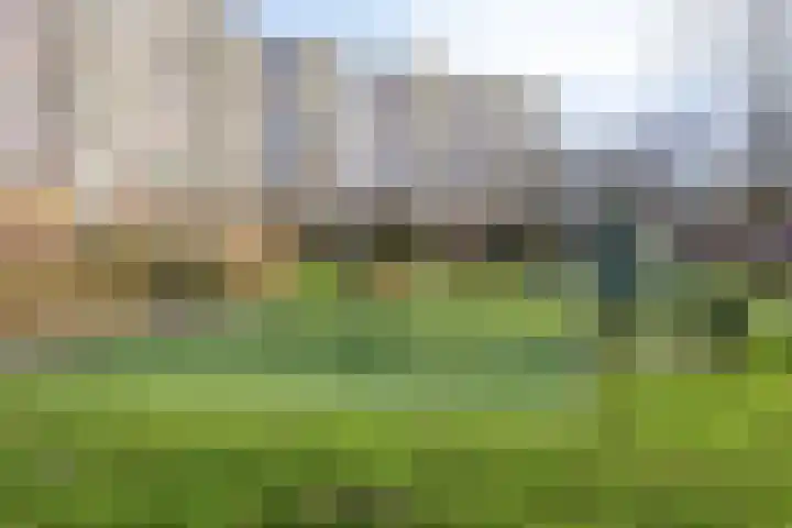 Jonkerbos 139 Zoetermeer thumbnail 30