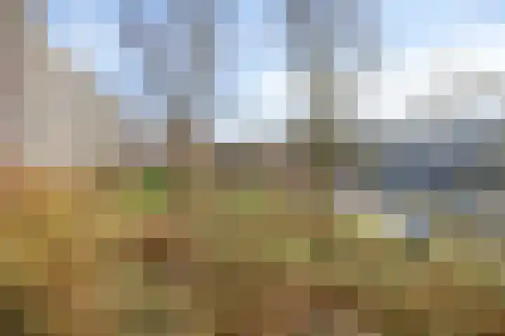 Jonkerbos 139 Zoetermeer thumbnail 4