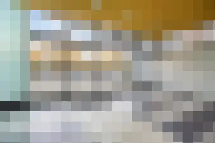 Jonkerbos 139 Zoetermeer thumbnail 8