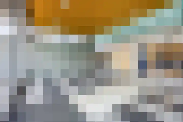 Jonkerbos 139 Zoetermeer thumbnail 9