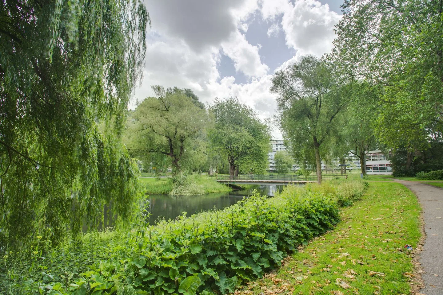 Jonkerbos 15 Zoetermeer thumbnail 33