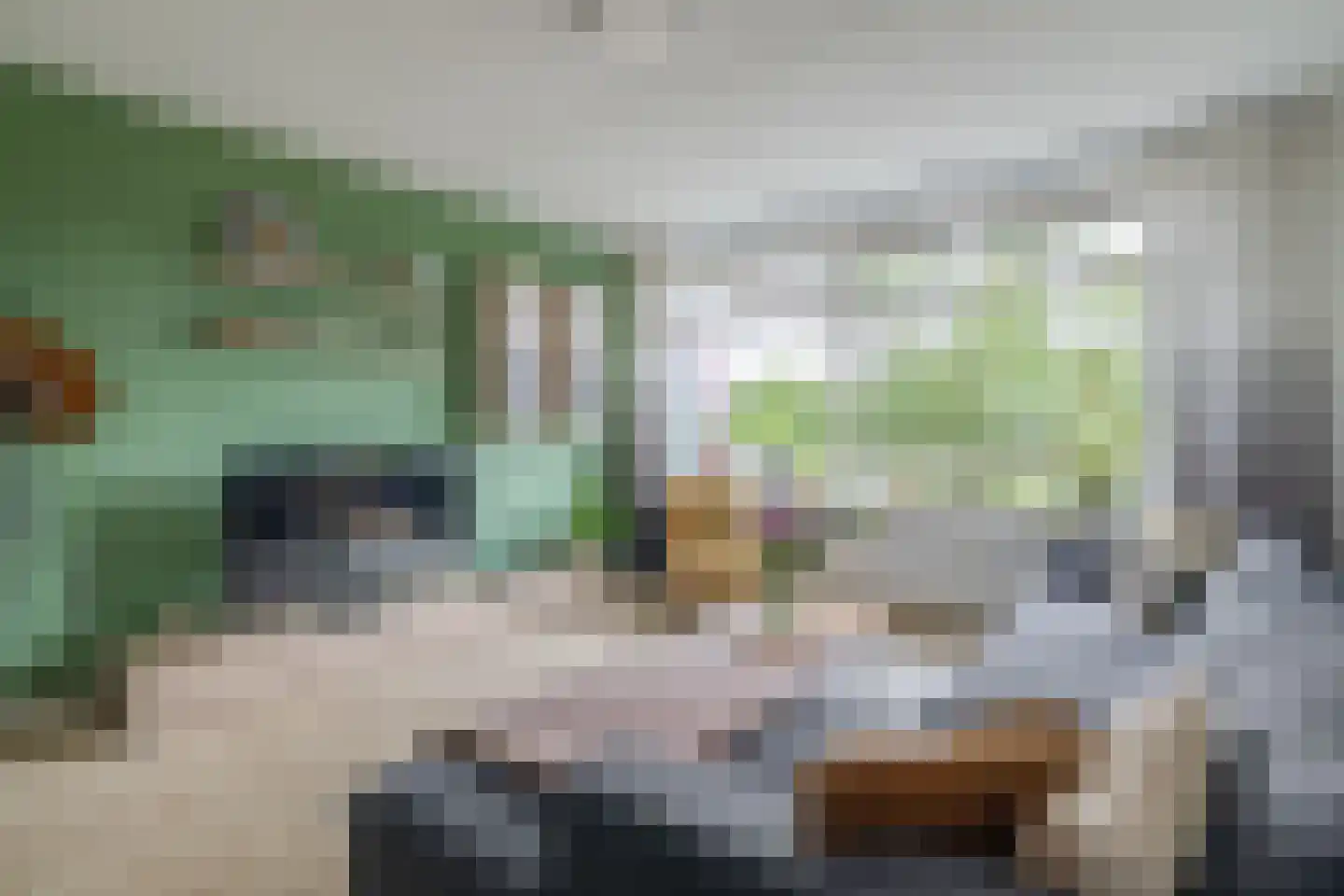 Jonkerbos 159 Zoetermeer thumbnail 11