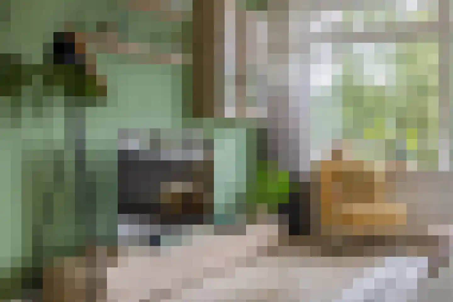 Jonkerbos 159 Zoetermeer thumbnail 12