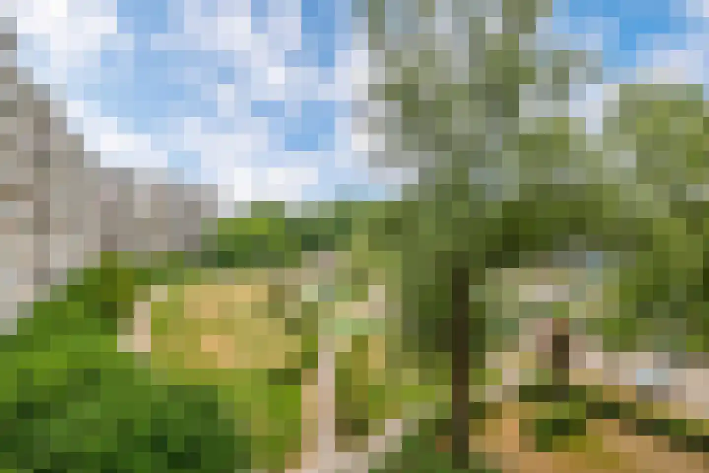 Jonkerbos 159 Zoetermeer thumbnail 31