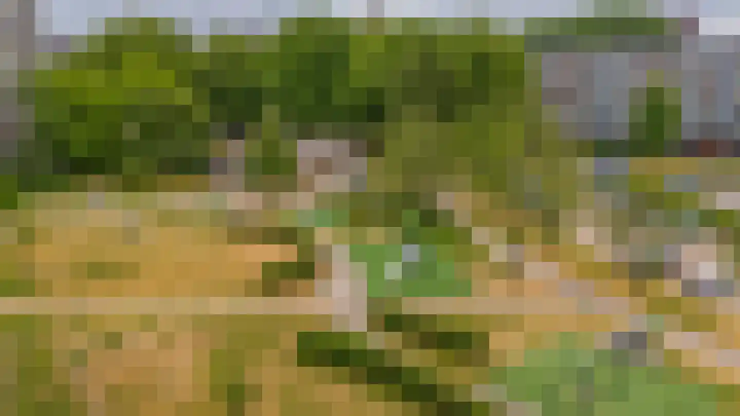 Jonkerbos 159 Zoetermeer thumbnail 35