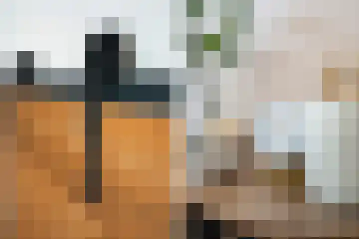 Jonkerbos 201 Zoetermeer thumbnail 10